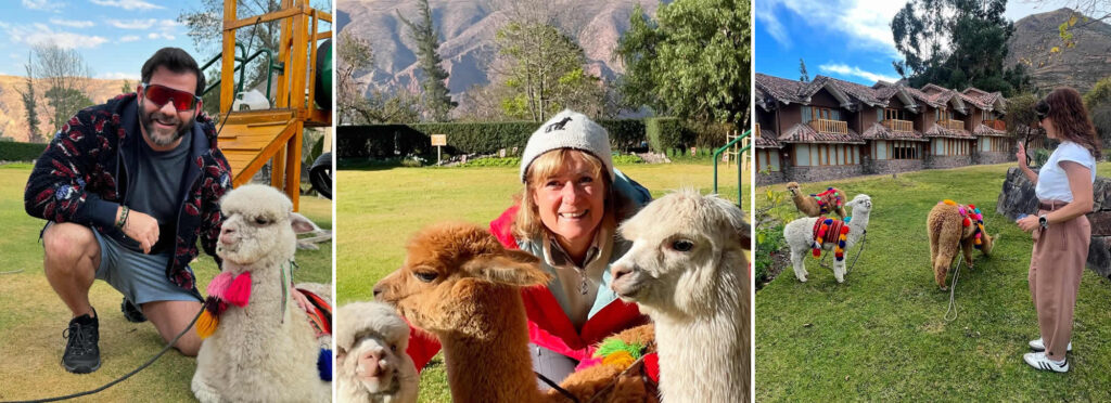 casa andina valle sagrado transfer