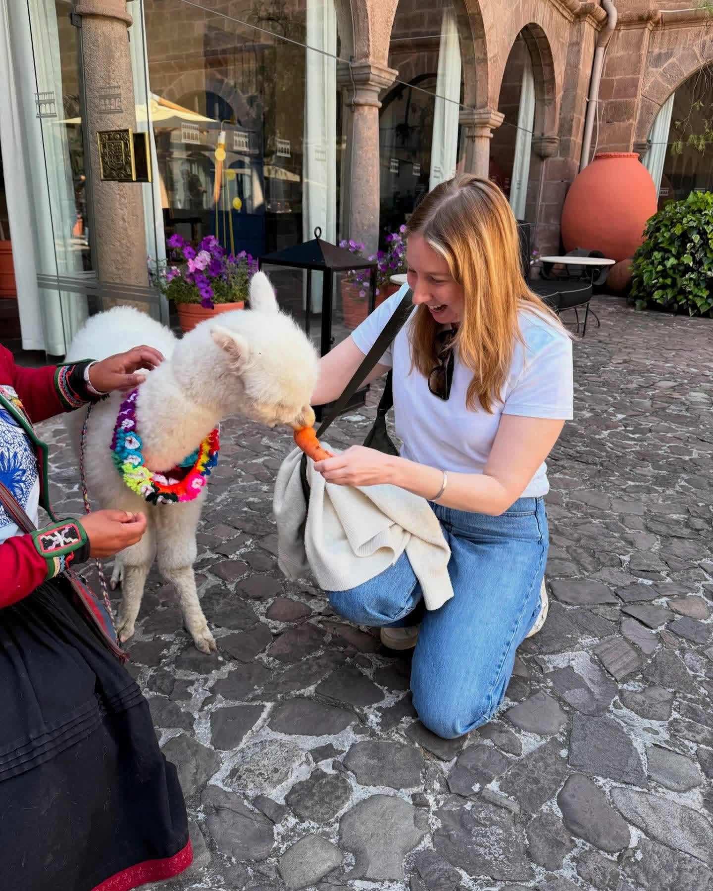 transfer palacio del inka